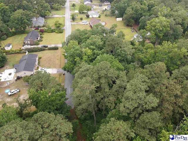 Land for sale in Dillon, South Carolina
