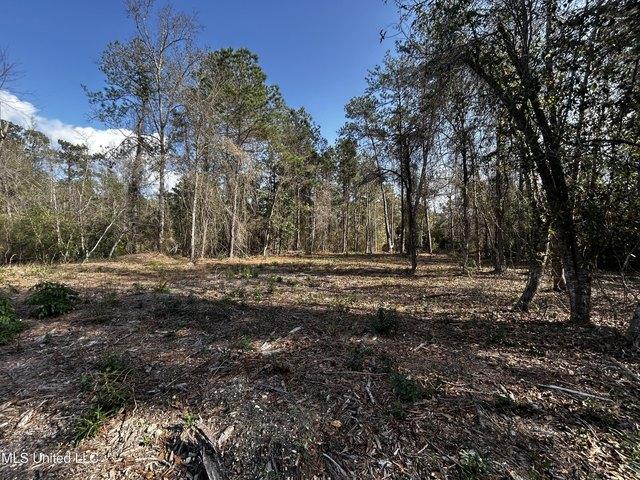 Land for sale in Carriere, Mississippi