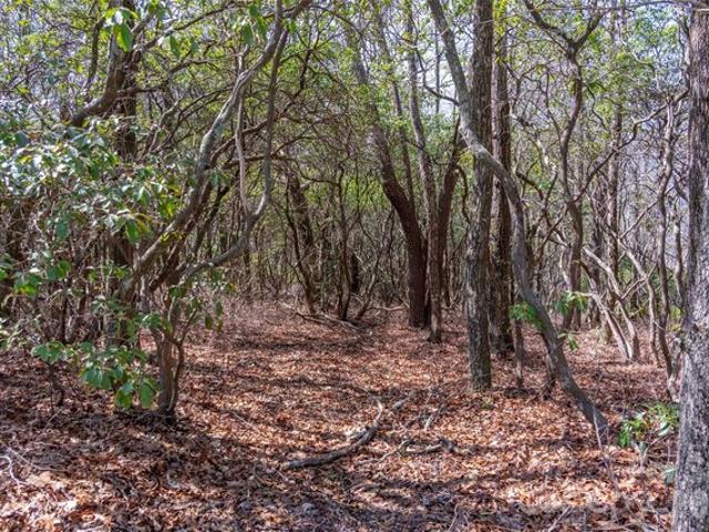 Land for sale in Transylvania, North Carolina