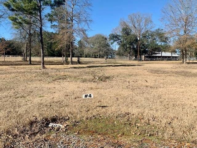 Land for sale in Many