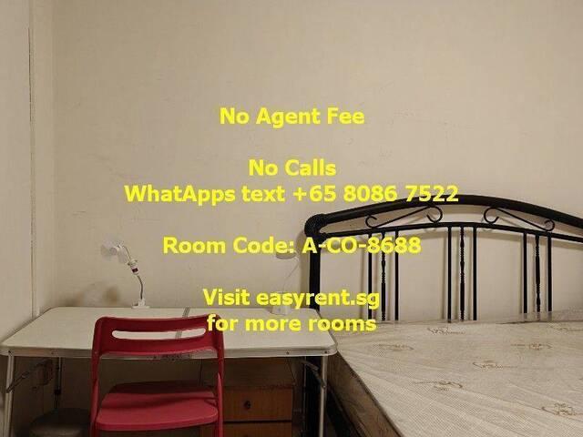 Room for rent