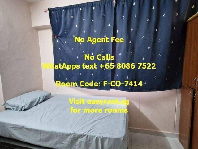 Room for rent