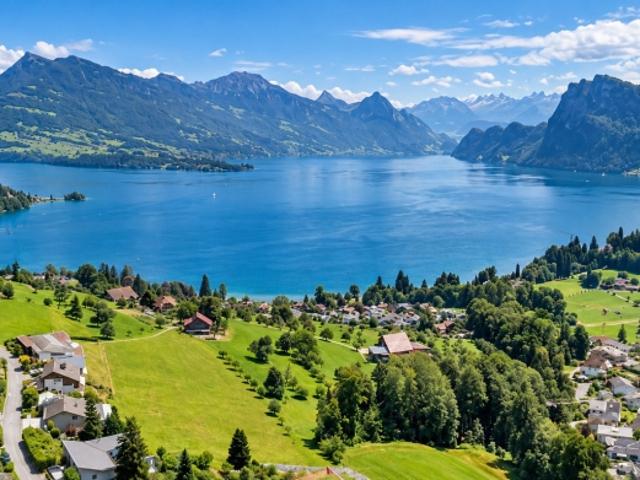Einfamilienhaus kaufen in Horw, Lü