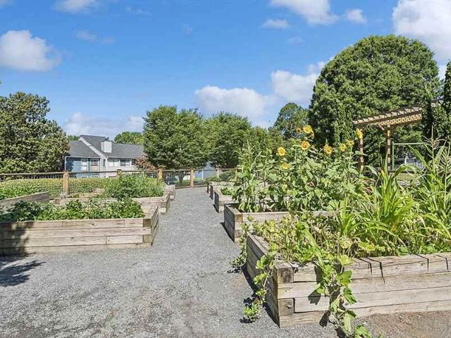 Apartment for rent in Georgia