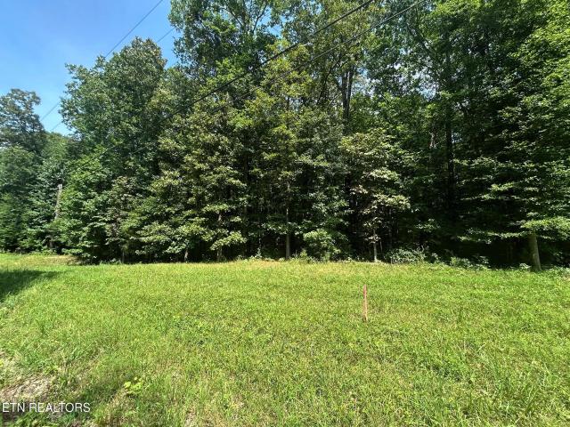 Land for sale in Tennessee
