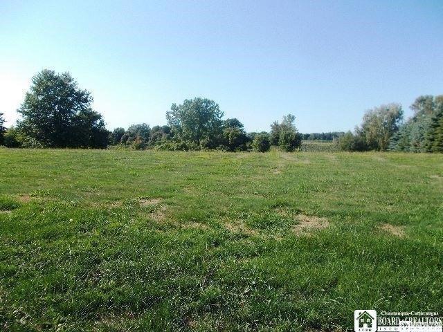 Land for sale in Fredonia, New York