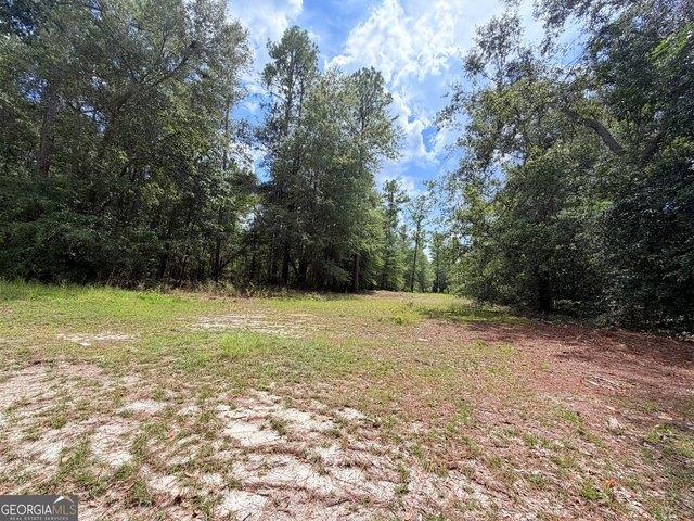 Land for sale in Alamo, Georgia