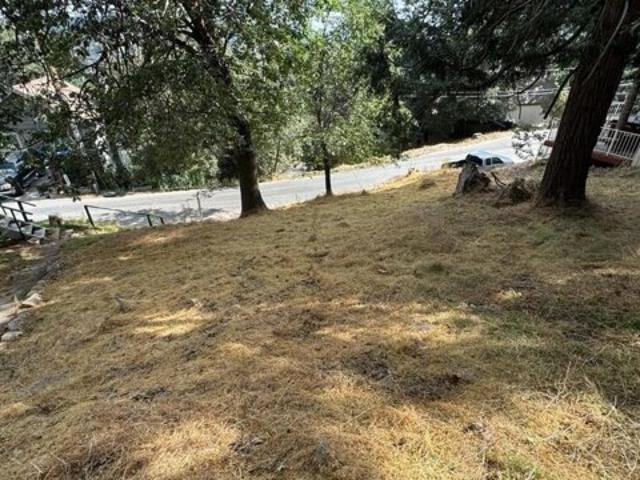 Land for sale in Cedar Glen, California