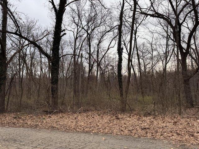 Land for sale in Dowagiac, Michigan