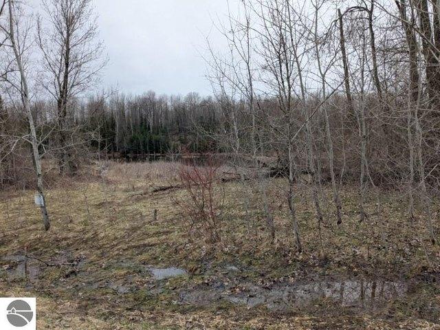 Land for sale in Hale, Michigan