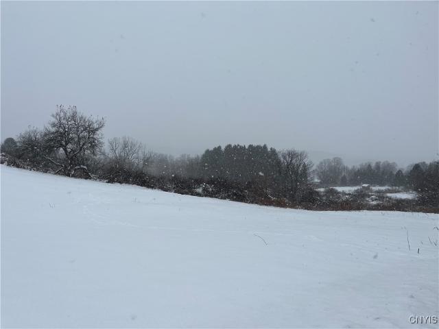 Land for sale in Hamilton, New York