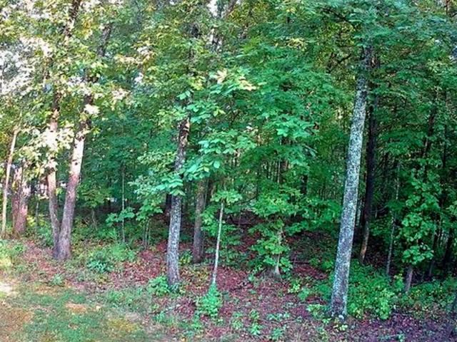 Land for sale in Tennessee