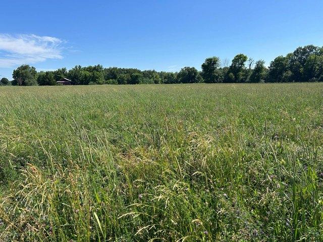 Land for sale in Rushville, Illinois