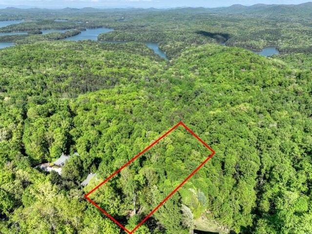 Land for sale in Blue Ridge