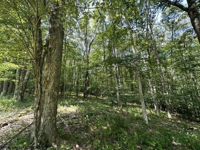 Land for sale in Terra Alta, West Virginia
