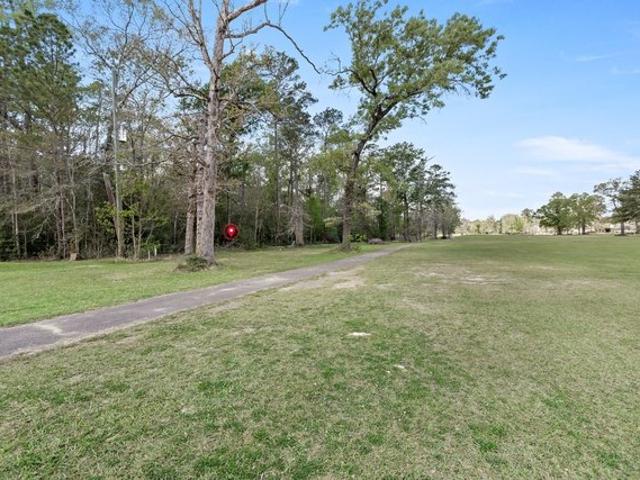 Land for sale in Sour Lake, Texas