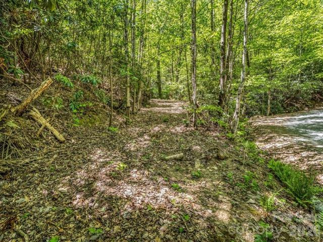 Land for sale in Tryon, North Carolina