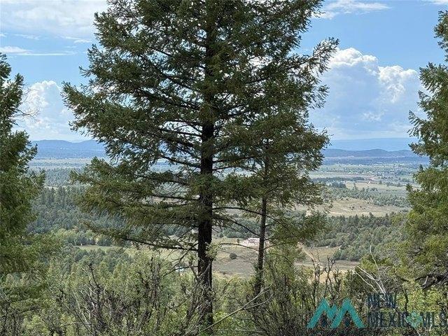 Land for sale in Chama, New Mexico