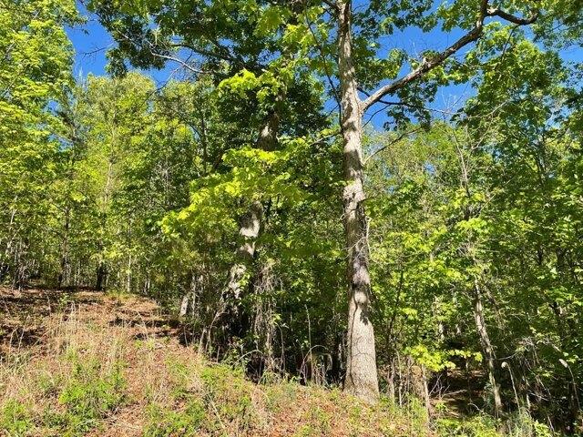 House for sale in Hayesville, North Carolina