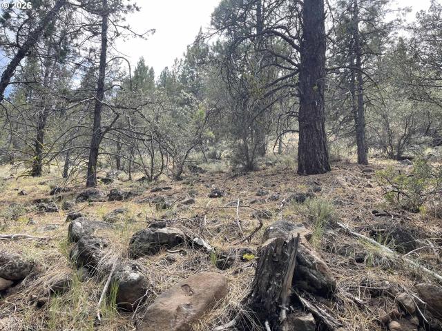 Land for sale in Lakeview, Lake County