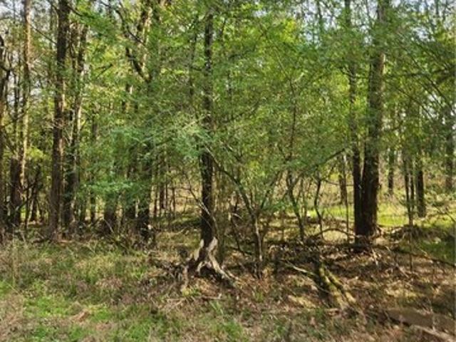Land for sale in Ark