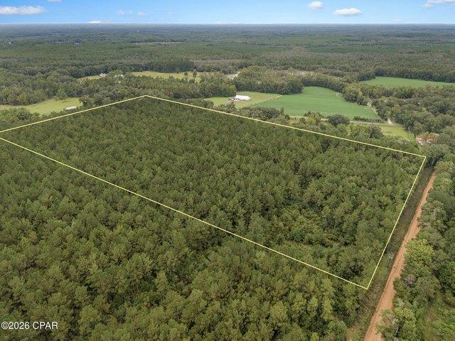 Land for sale in Caryville, Washington County