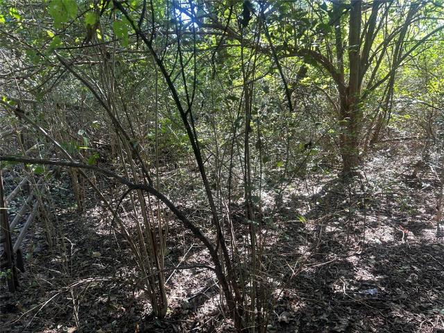 Land for sale in Whitney, Hill County