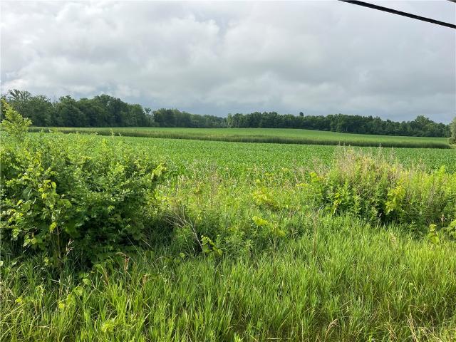 Land for sale in Geneseo, New York