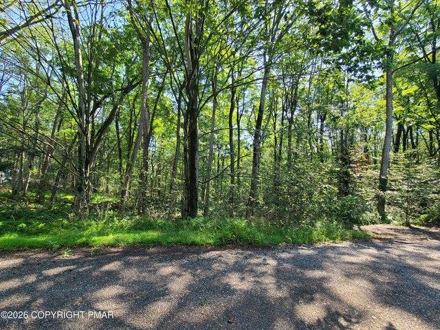 Land for sale in Buck Hill Falls, Pennsylvania