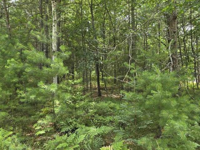 Land for sale in Oscoda, Michigan