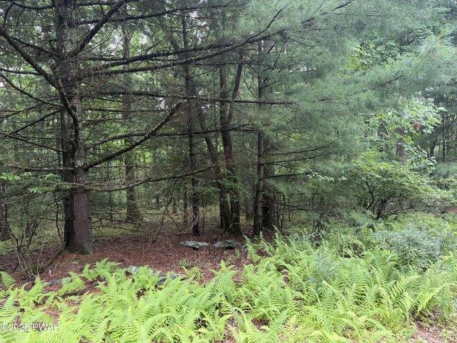 Land for sale in Milford, Pike County