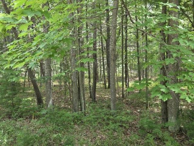Land for sale in Oscoda, Michigan