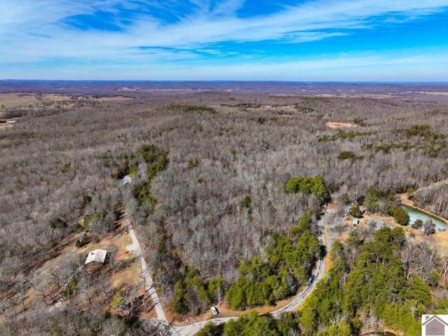 Farm for sale in Princeton, Kentucky
