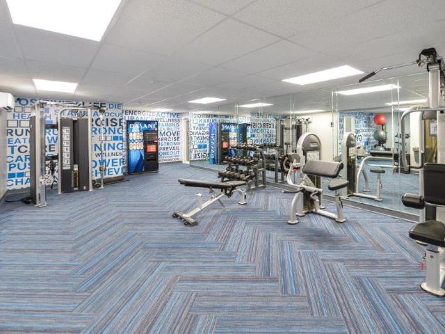 Apartment for rent in Harrisburg, Pennsylvania