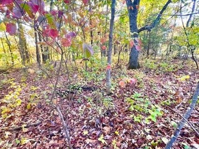 Land for sale in Barnett, Missouri