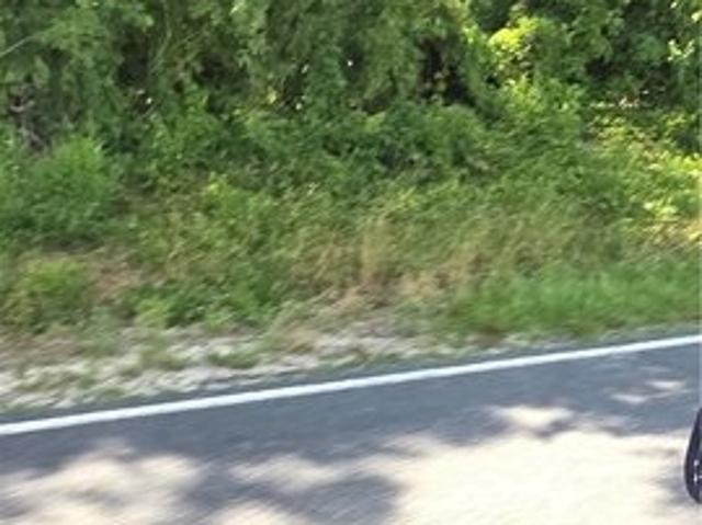 Land for sale in Salemburg, North Carolina