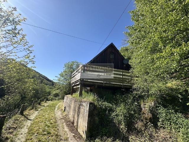 Maison vente à Lalaye, Collectivité européenne d'Alsace