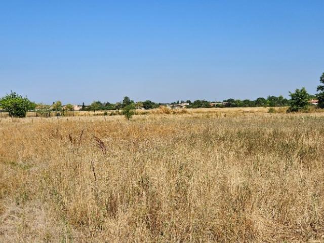 Terrain vente à Muret, Lamasquère