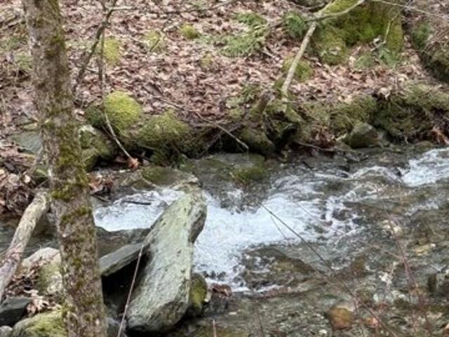 Land for sale in Wells, Vermont
