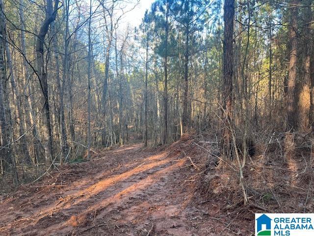 Land for sale in Cragford, Alabama