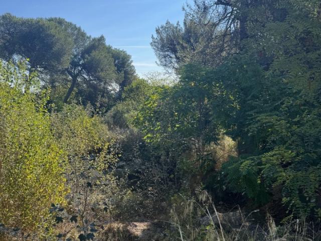 Terrain vente à Aix-en-Provence, Lambesc