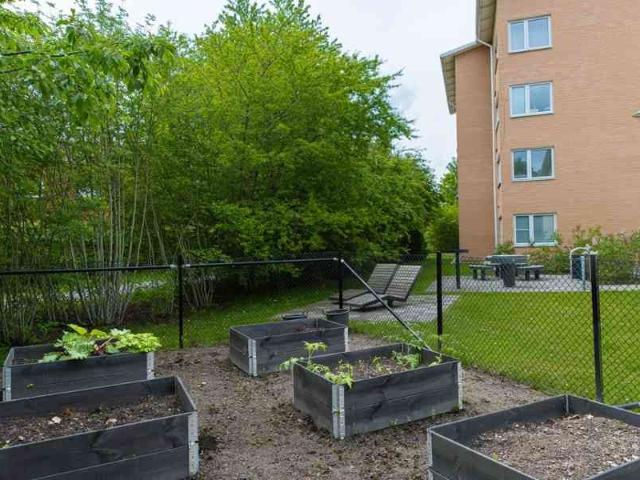 Rum hyra i Slaka, Linköping