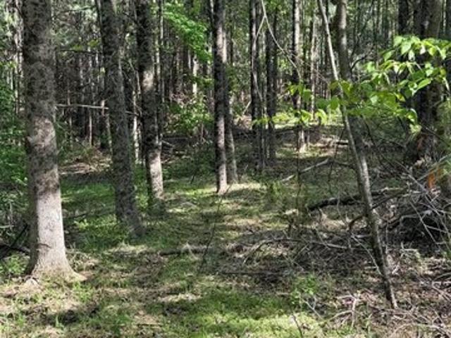 Land for sale in Virginia