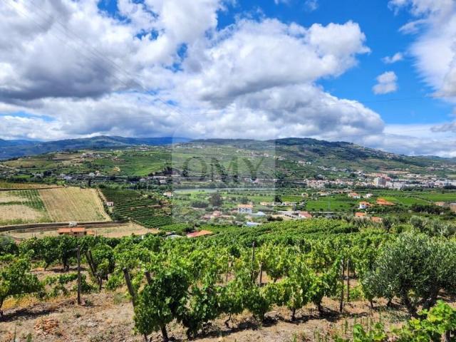 Terreno venda em Lamego, Viseu
