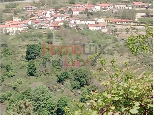 Terreno venda em Lamego, Viseu