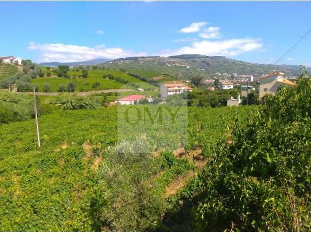 Terreno venda em Lamego, Viseu