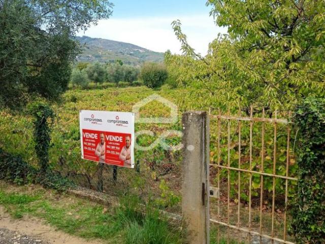 Terreno venda em Lamego, Viseu
