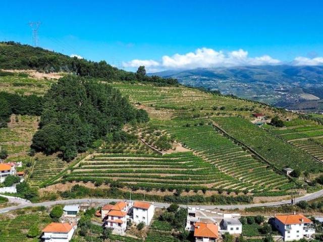 Terreno venda em Lamego, Viseu