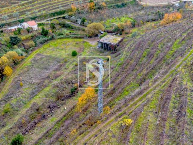 Terreno venda em Lamego, Viseu