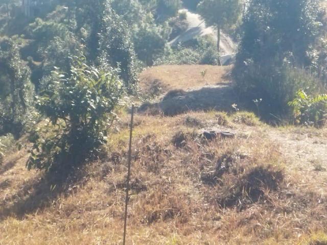 Land for sale in Almora, Uttarakhand